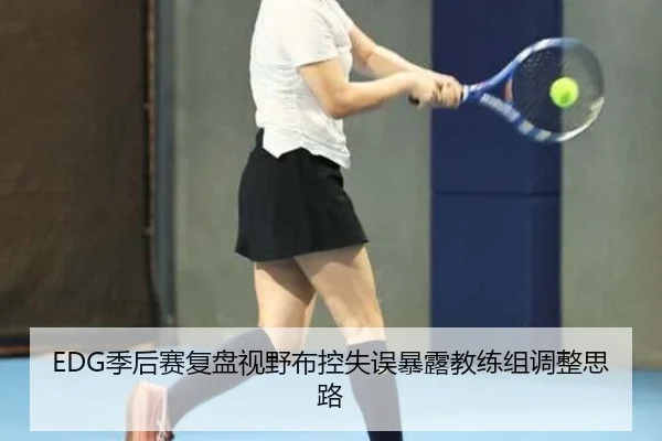 EDG季后赛复盘视野布控失误暴露教练组调整思路
